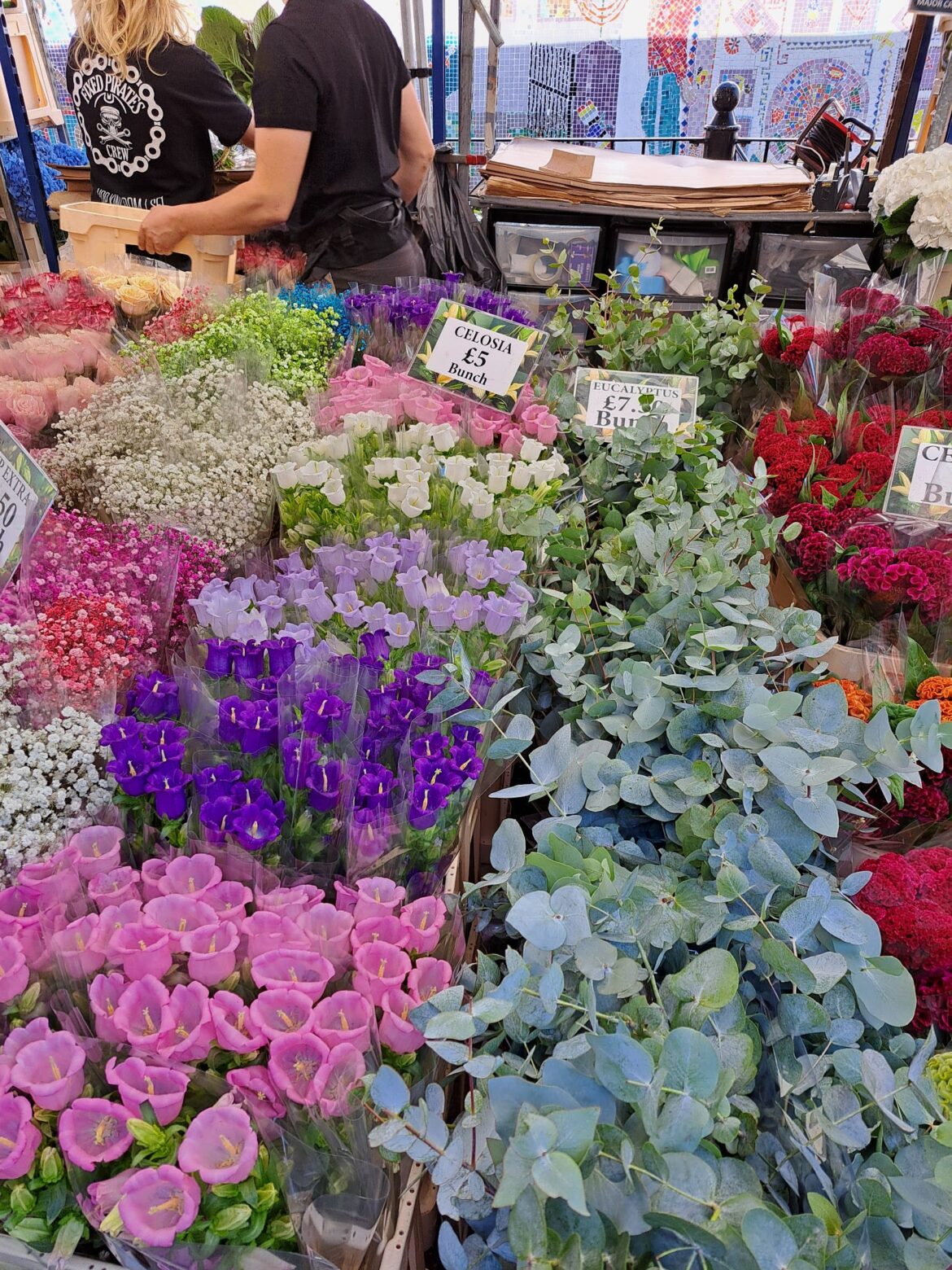 Flower Bloom | Wander Flower Bloom | Wander