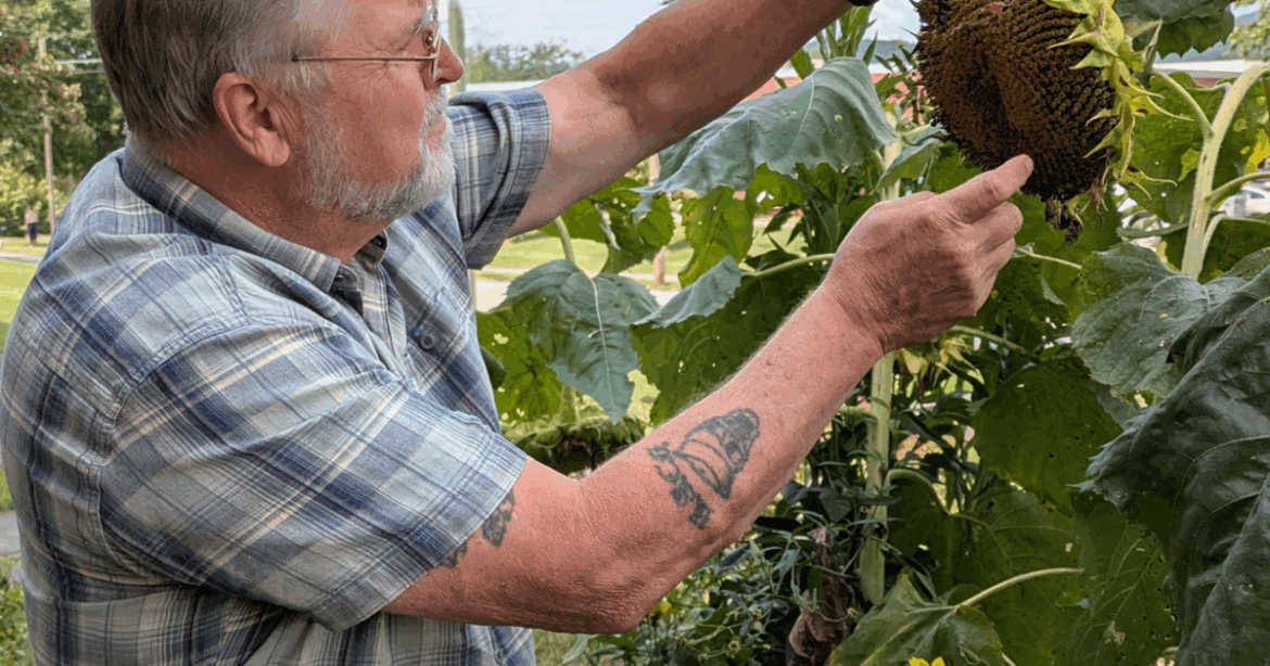 Talk will feature 'birds for gardeners, gardens for birds' | Lifestyles