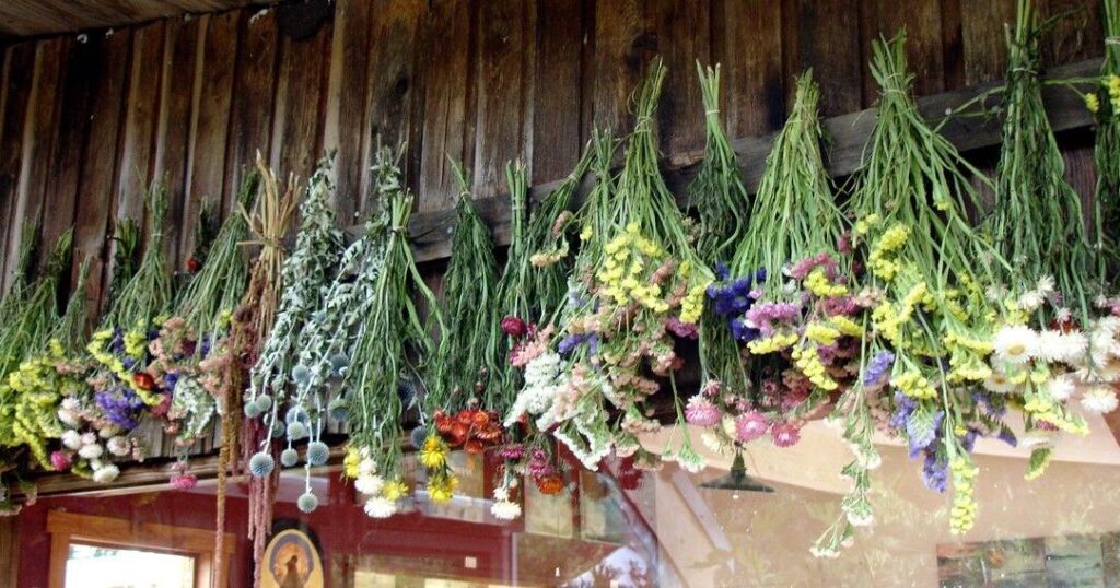 GARDEN COLUMN: Save flower seeds now for spring planting | Community GARDEN COLUMN: Save flower seeds now for spring planting | Community