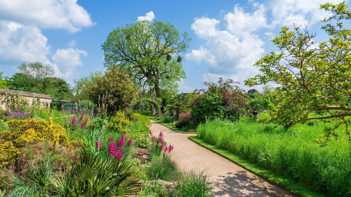 Gardeners' World fans rocked by 'legend' star's shock cancer diagnosis