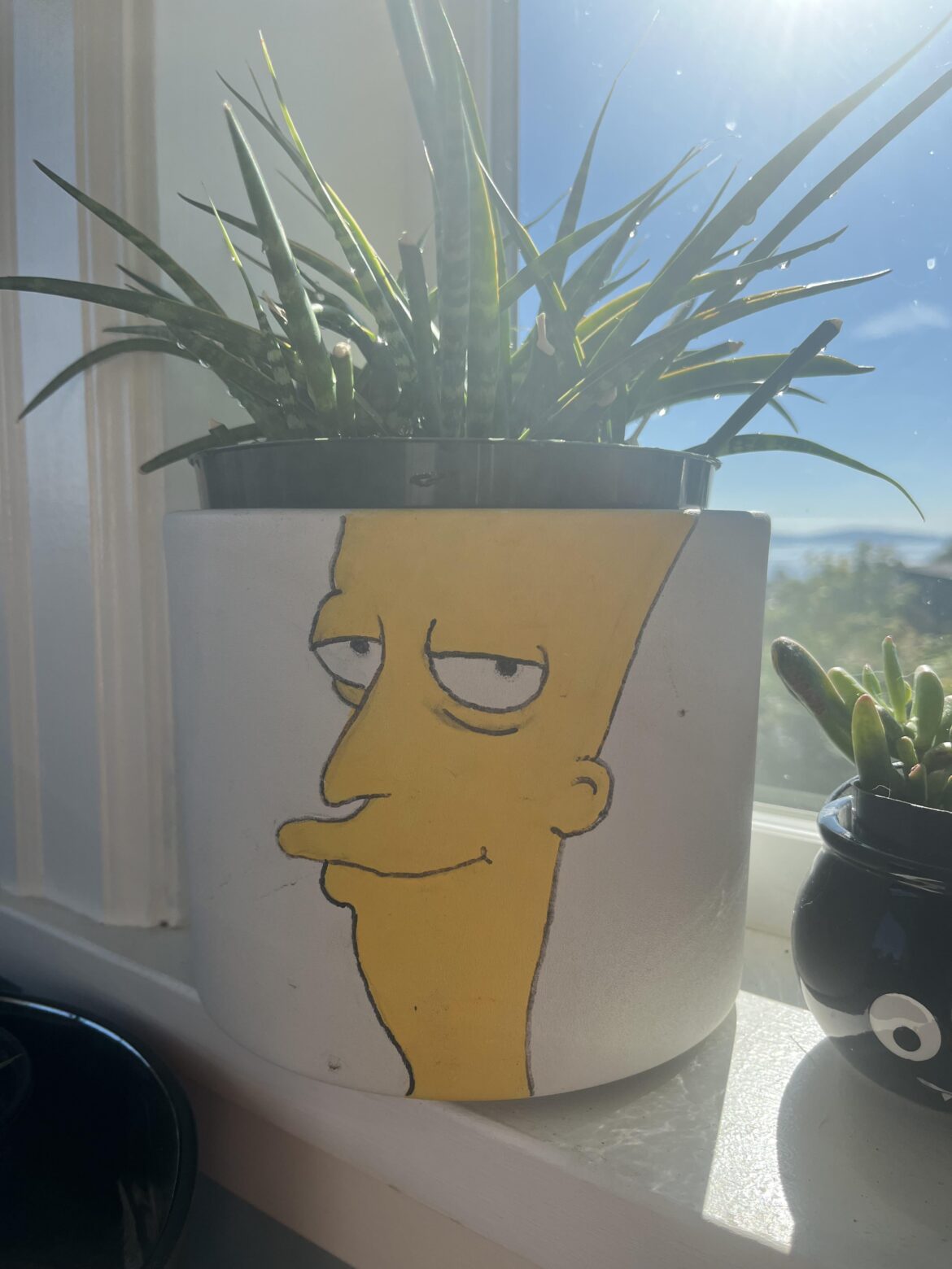 Do you like my snake plant? I give it 5 rakes to the face out of 5.