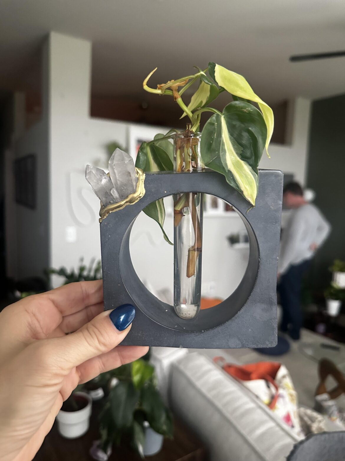 New prop + prop vase 🪴