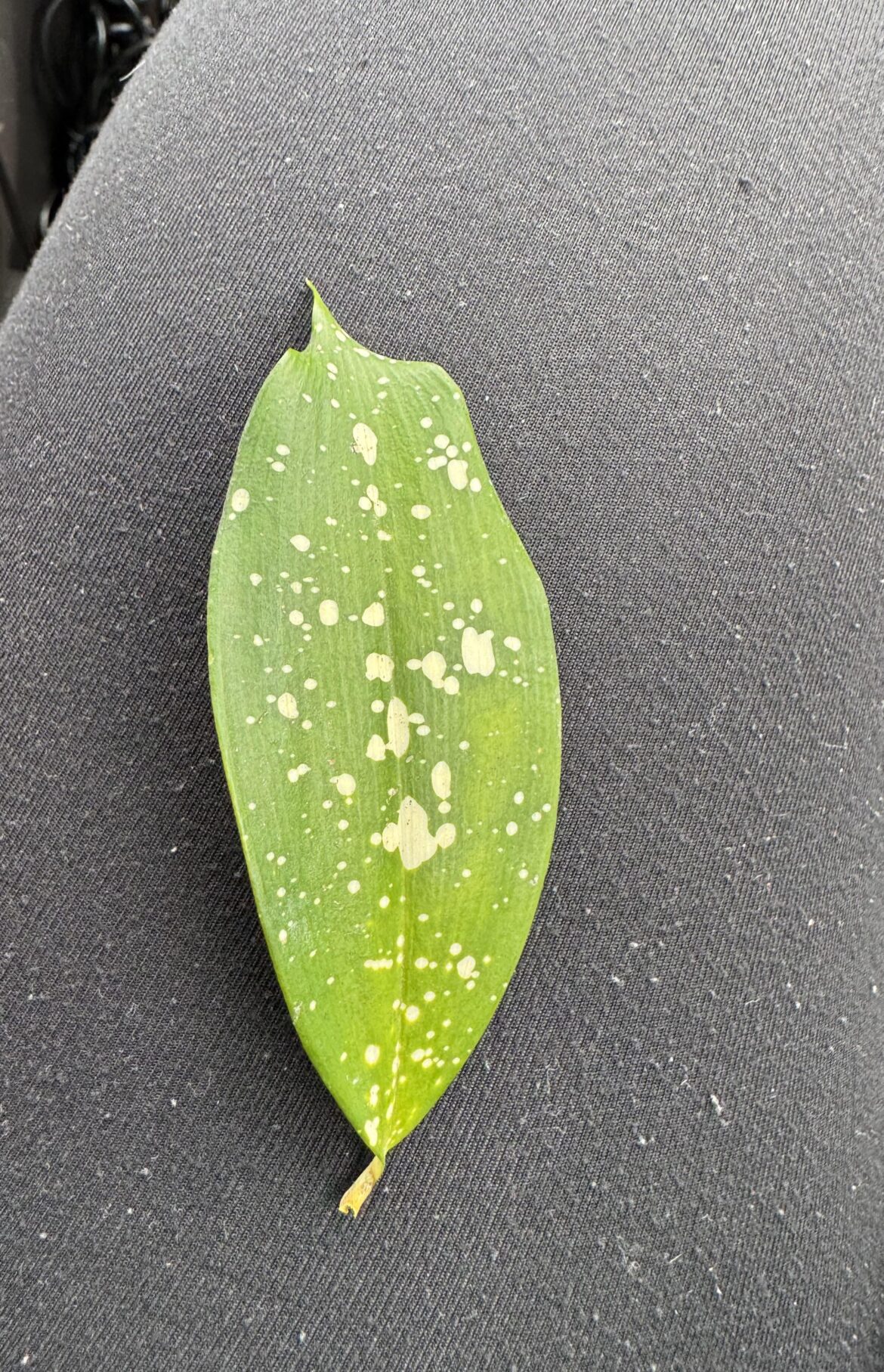 Can I prop this?