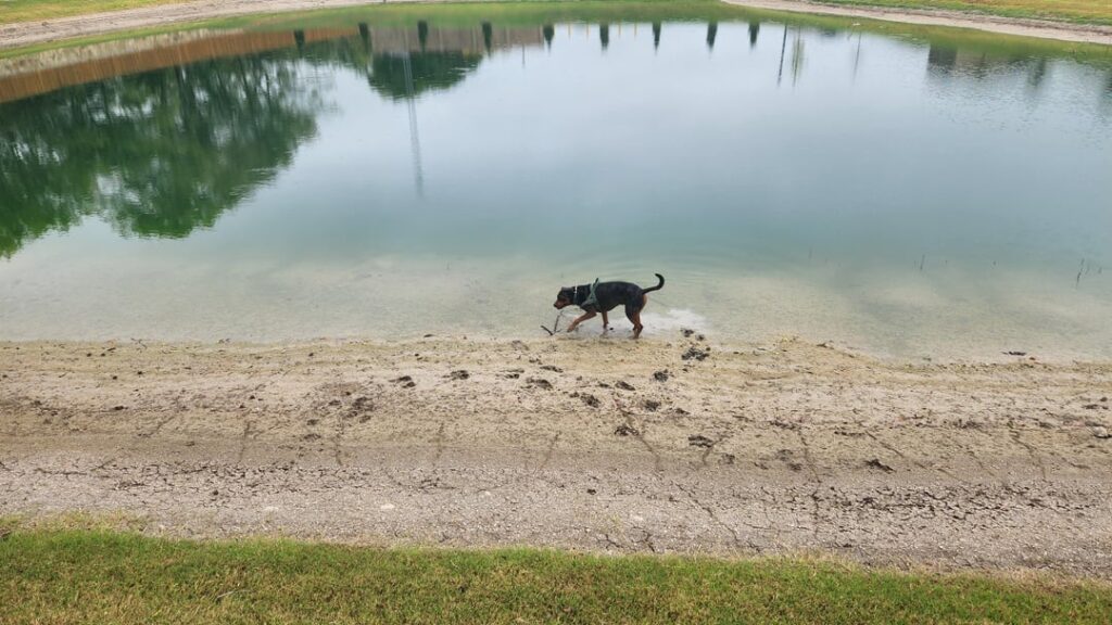 Iso: sneaky planting ideas Iso: sneaky planting ideas