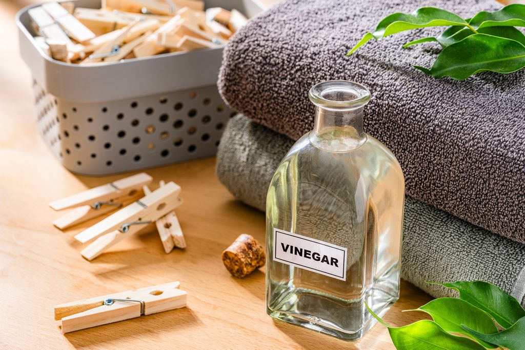 Vinegar bottle