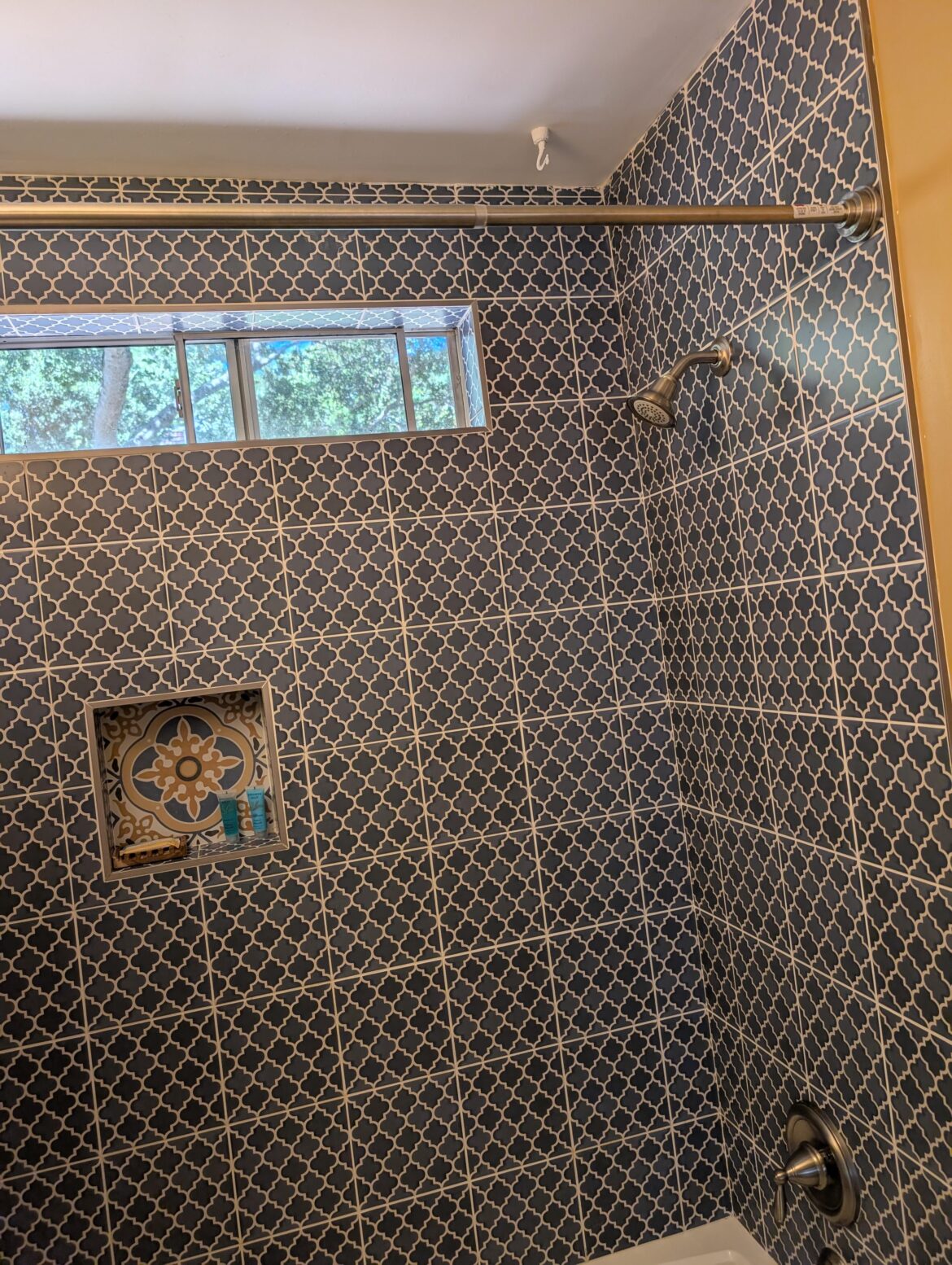 What plant could possibly live in this bathroom??? What plant could possibly live in this bathroom???