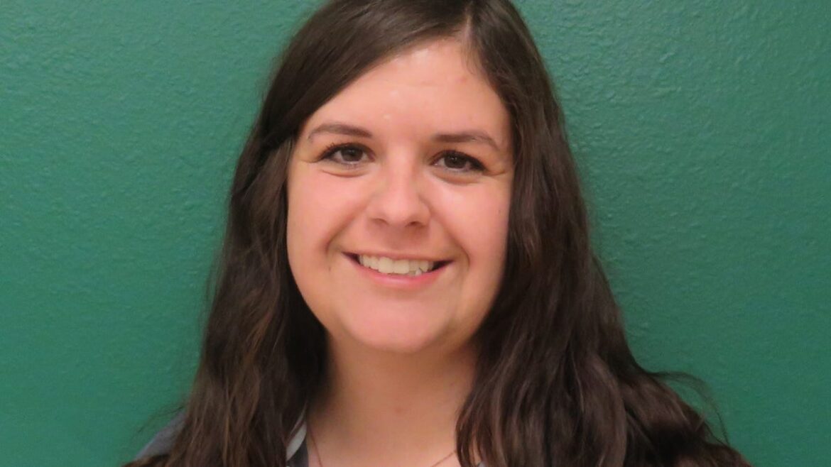 False Sunflower, a great garden perennial