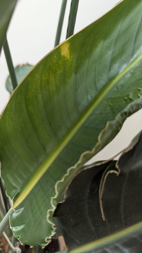 Is this what I think it is? 😱 Is this what I think it is? 😱