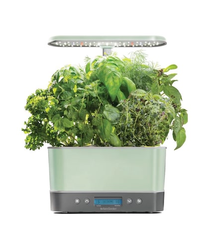 Growing an herb garden is made easy with AeroGarden. Drop the seeds in the planter and...