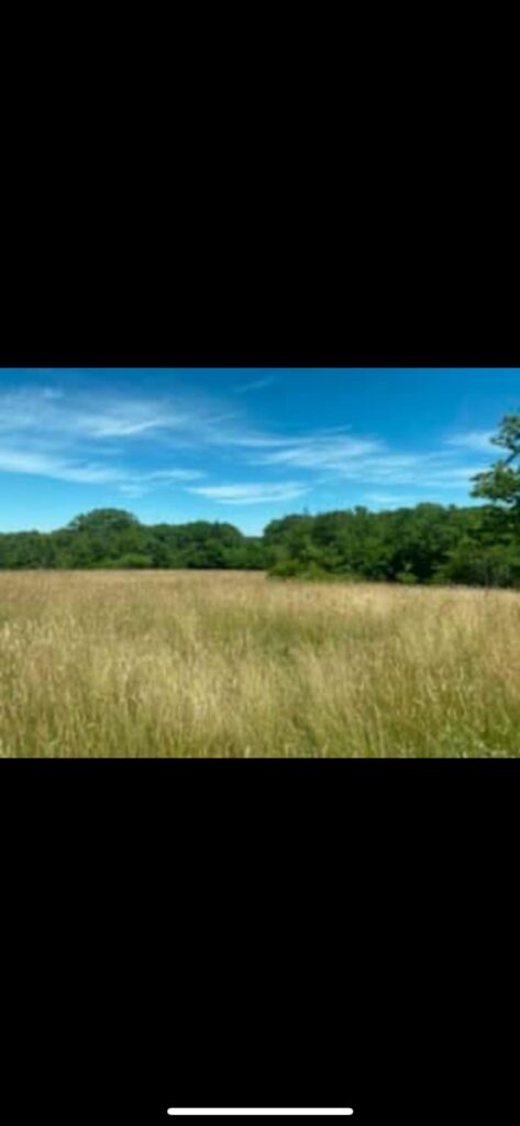 I have a 2-3 acre field / farmland that I only want to mow once every 1-2 years. I have a 2-3 acre field / farmland that I only want to mow once every 1-2 years.