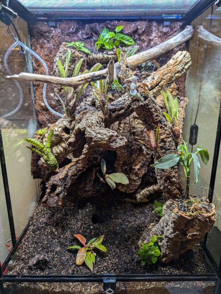 Vivarium troubleshooting 🙏
