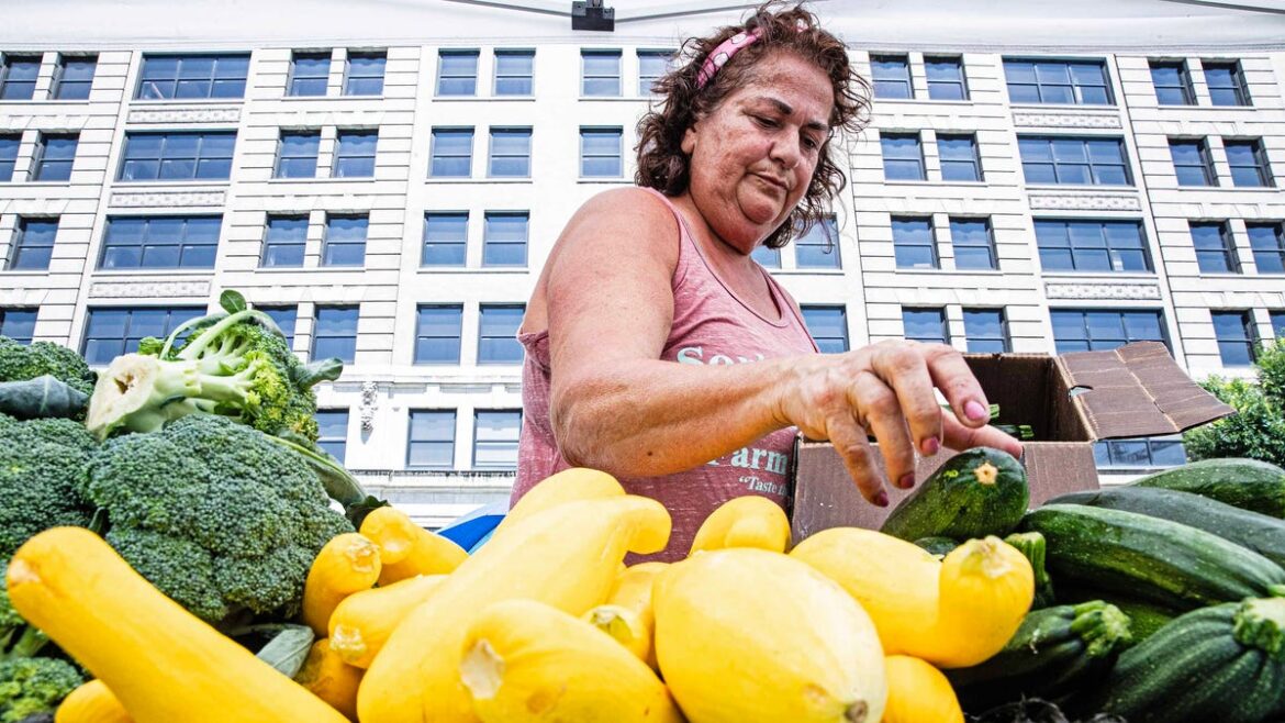 Is there time to plant before first frost? Is there time to plant before first frost?