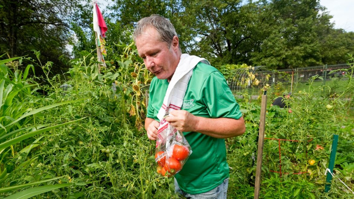 Limerick Community Garden hopes to move forward with new grant funding Limerick Community Garden hopes to move forward with new grant funding