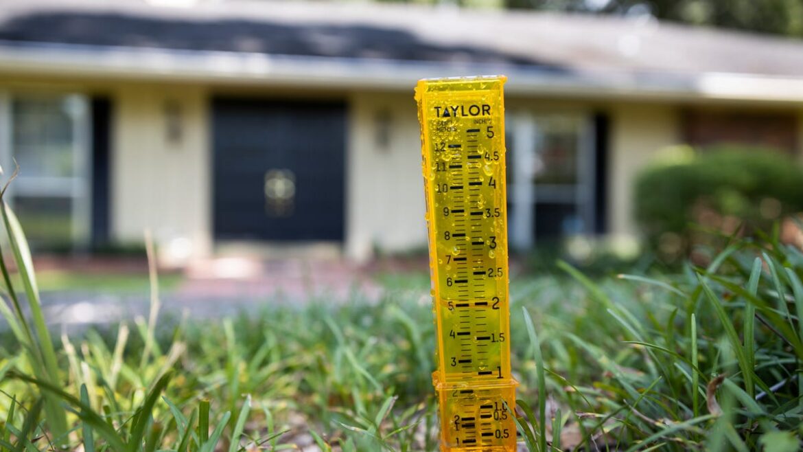 What you should be doing in your garden in August in Florida What you should be doing in your garden in August in Florida