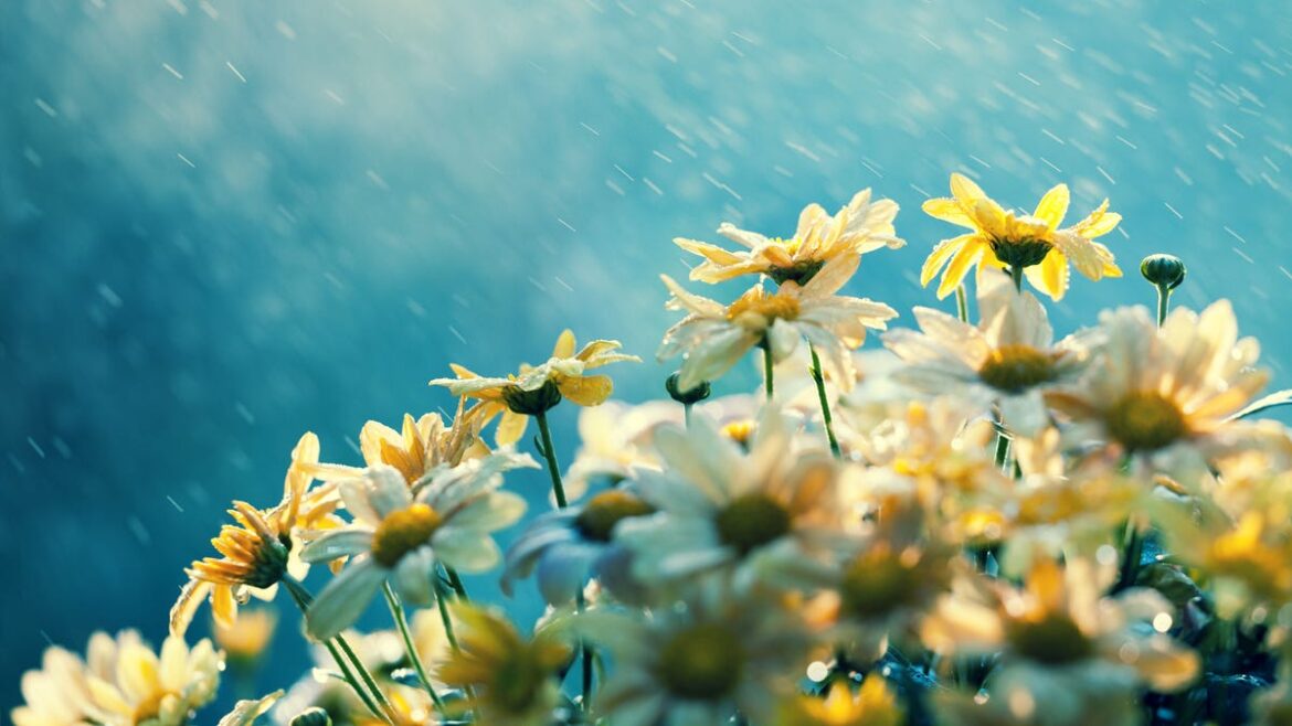 Hot, humid – Your August ‘to do’ list Hot, humid – Your August ‘to do’ list