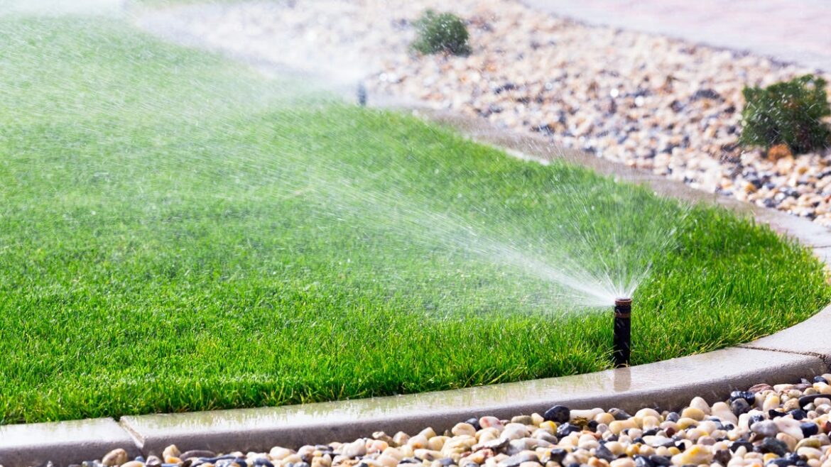 Summer rains, excessive heat and your lawn’s needs