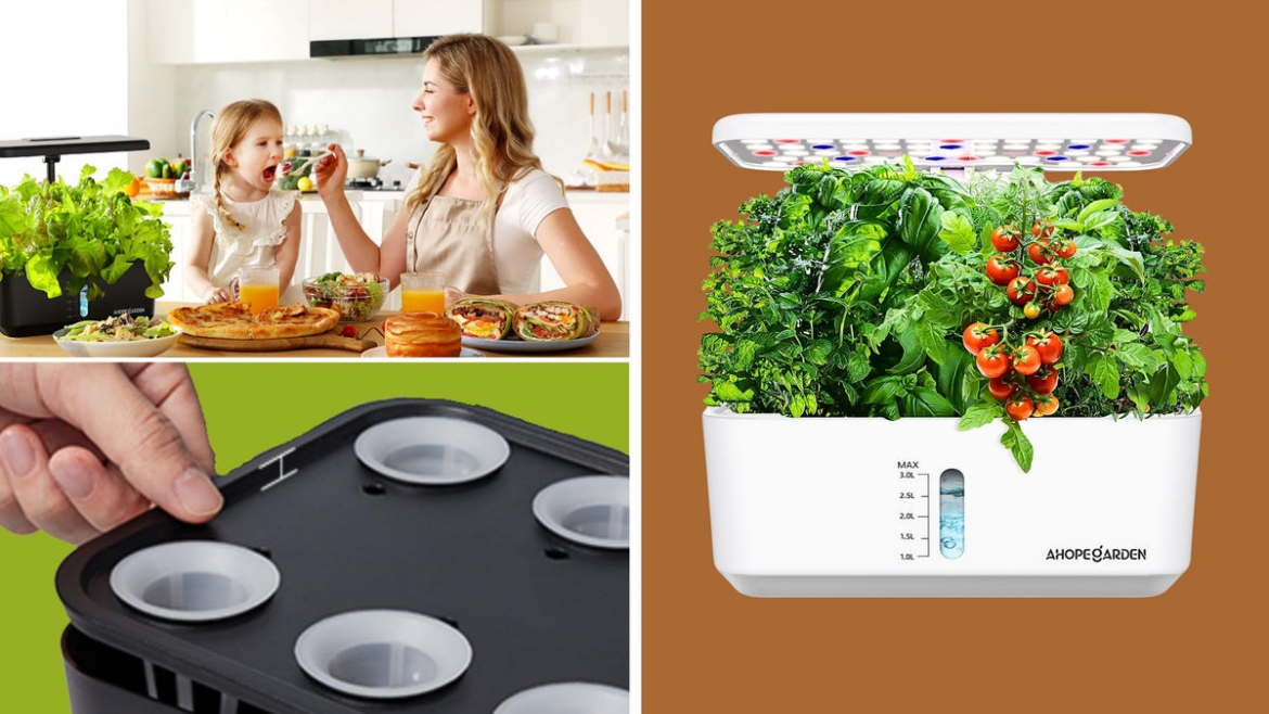 Save $30 on Amazon’s top-rated indoor garden system Save $30 on Amazon's top-rated indoor garden system