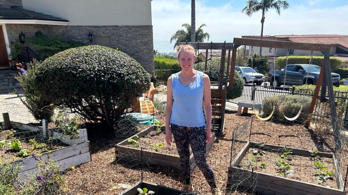 Beds gone wild! Restoring order to raised bed gardening