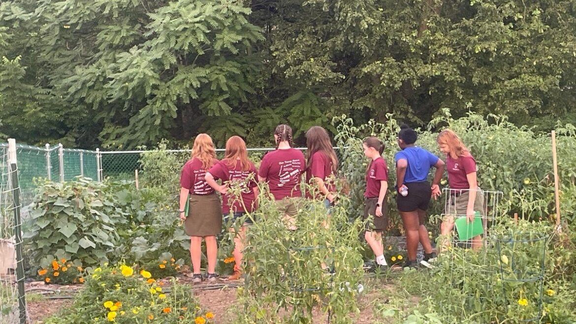Local Scouts visit the Master Gardeners’ vegetable demo garden