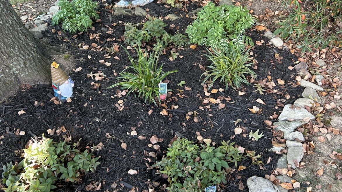 Questions from the Garden Center Questions from the Garden Center