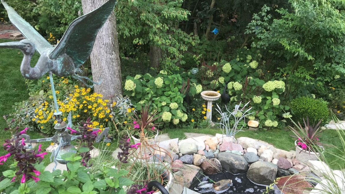 Final weekly winner of Homestyle Garden Photo Contest