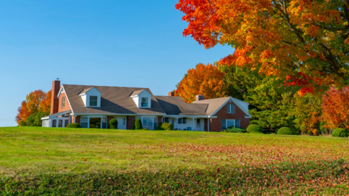 Learn about fall tree choices, planting and care Learn about fall tree choices, planting and care