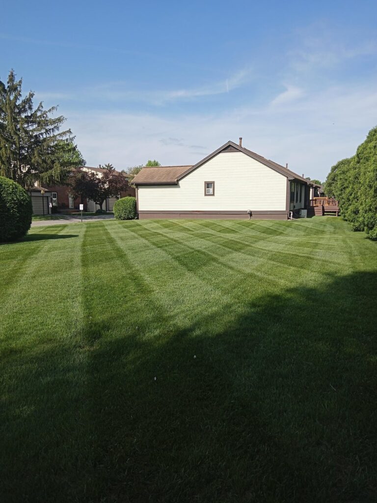 How do my lines look