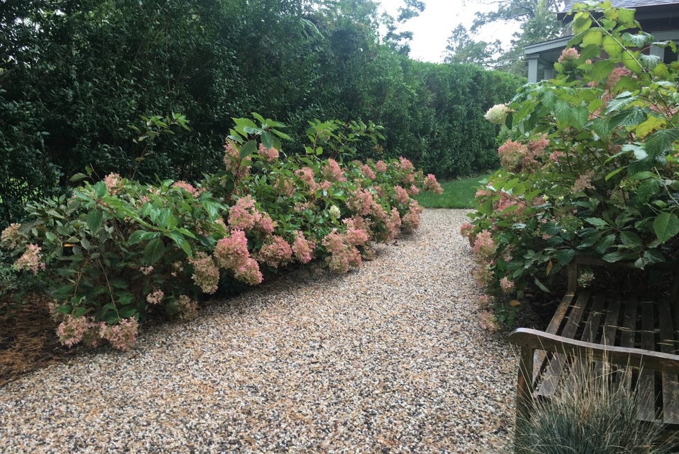 sustainable gardening