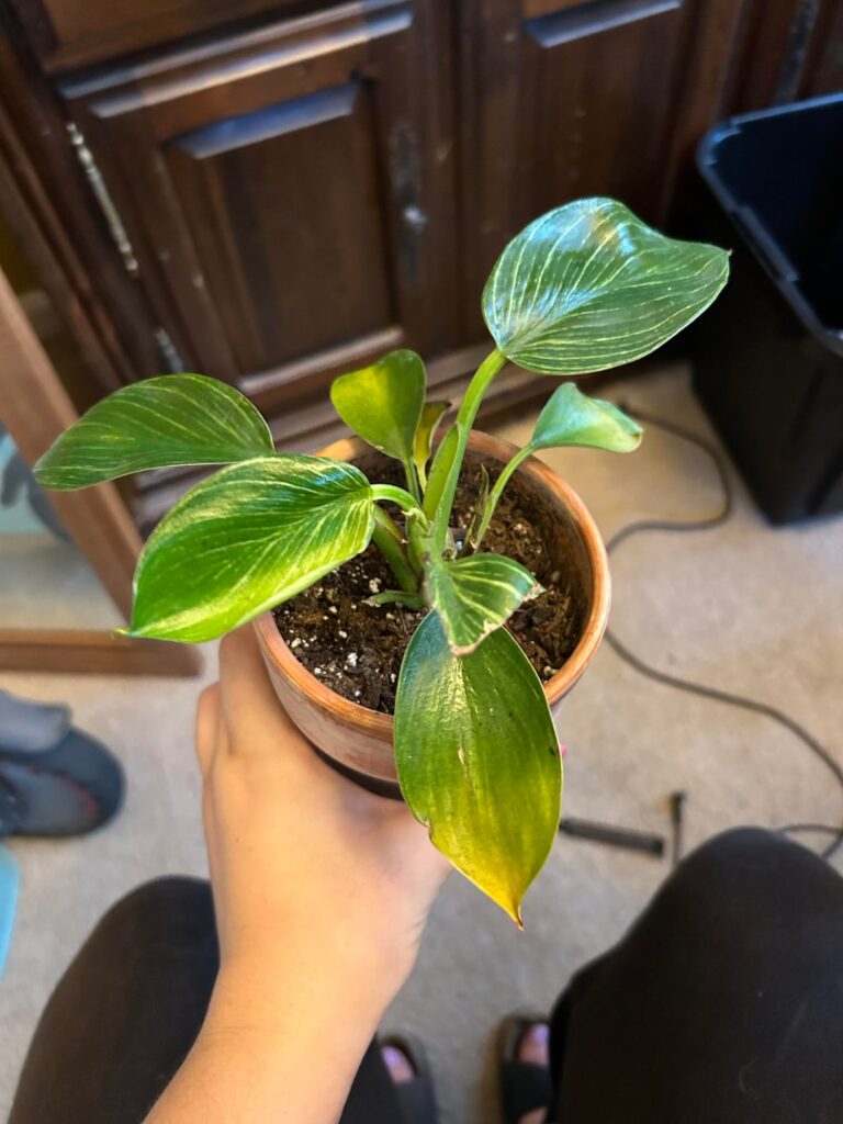 Is my baby ok?🥺 Is my baby ok?🥺