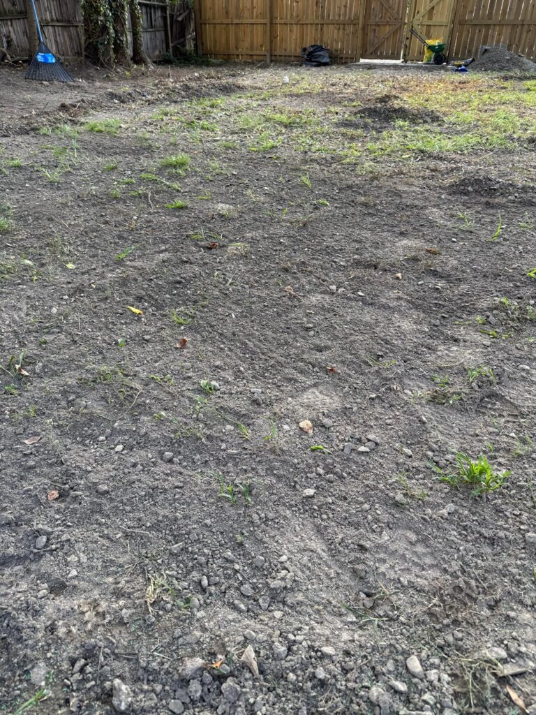 Lawn is absolutely littered with gravel Lawn is absolutely littered with gravel