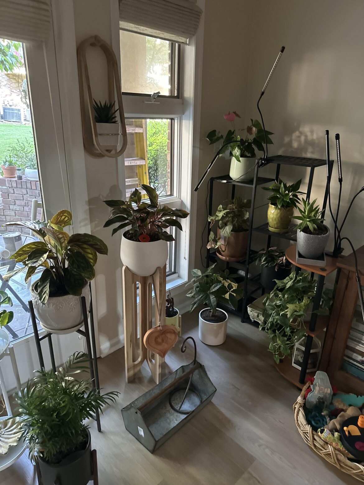 This is my corner!!!