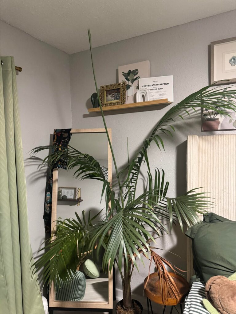 $11 Lowe’s score or scare?