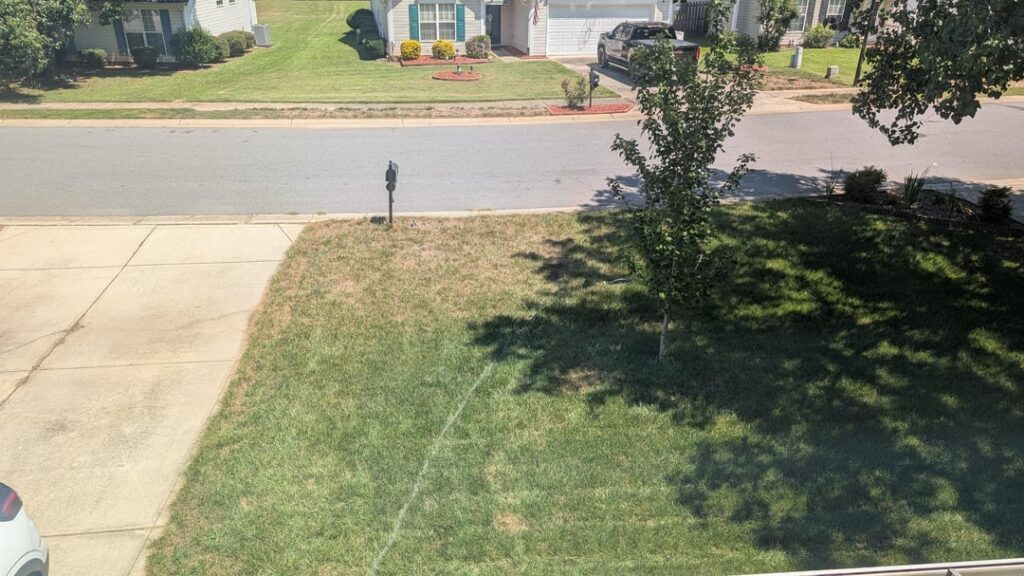 [Charlotte, NC] Is there something I can plant in this sunny corner that can take the heat and wont look Horrible with Tall Fescue?