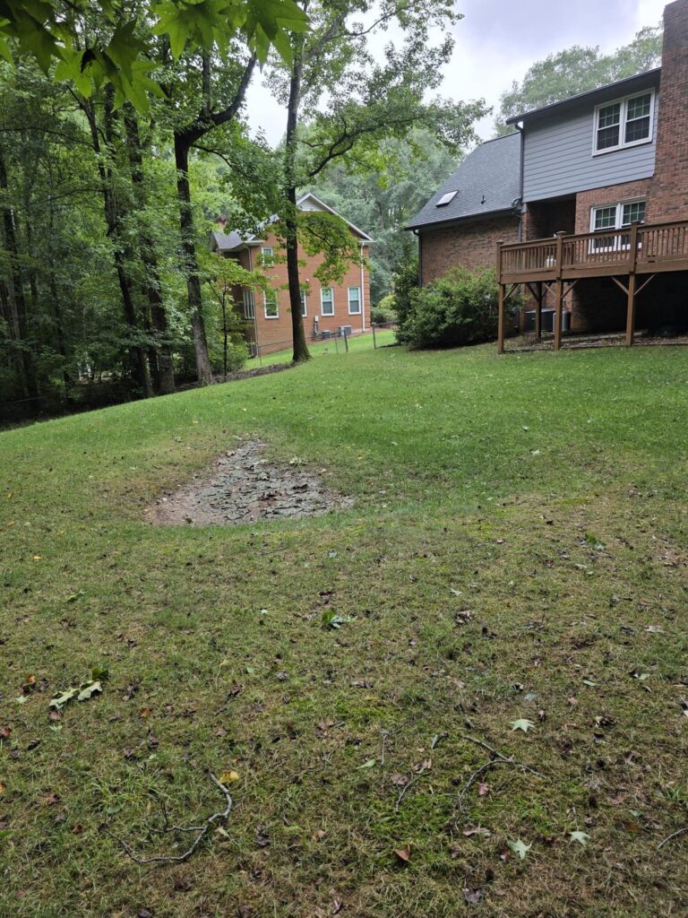 Best way to fill this hole? Best way to fill this hole?