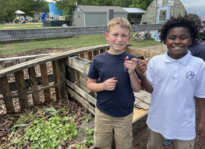 Sussex Academy school garden yields 54 pounds of produce Sussex Academy school garden yields 54 pounds of produce