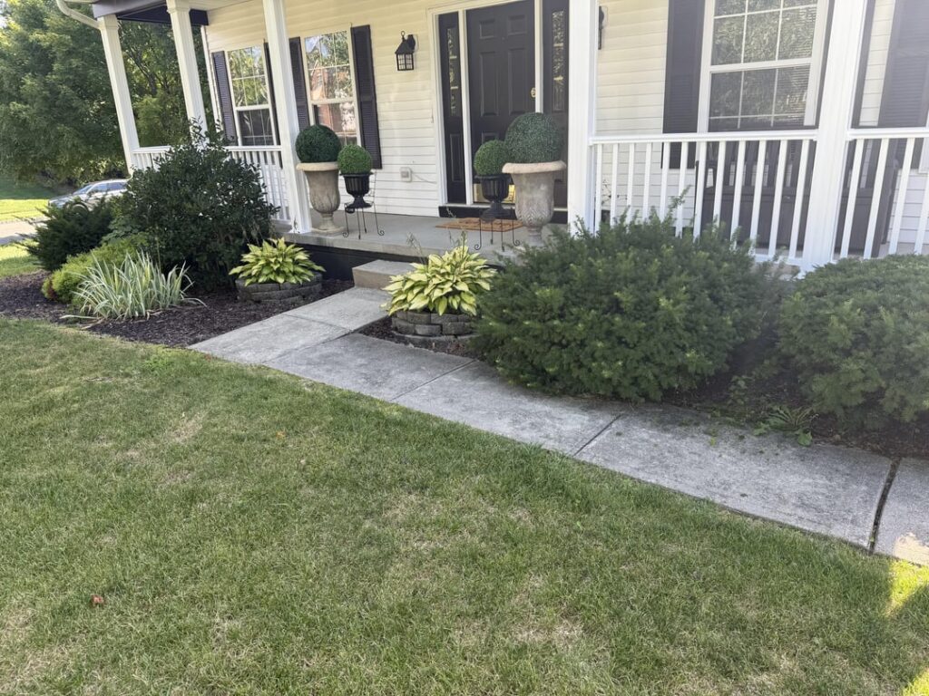 First time hedge trimming