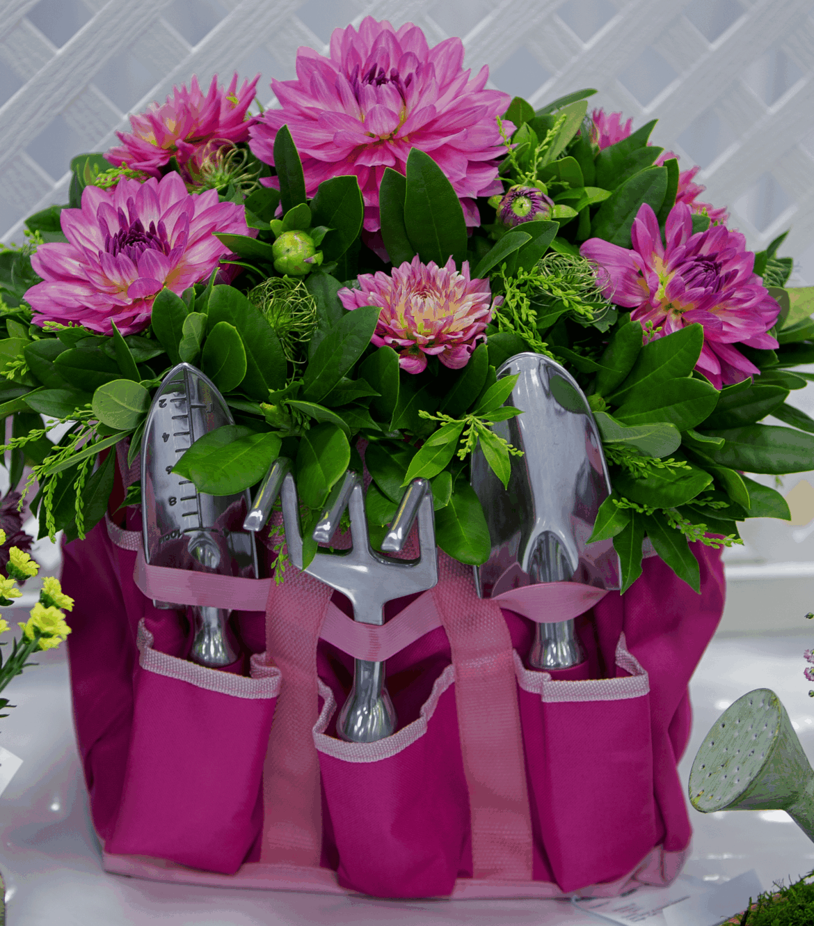 ❣️Dazzling dahlia display❣️[OC]