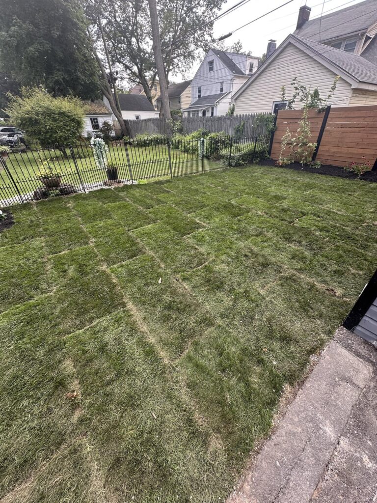 Diligent watering finally paying off