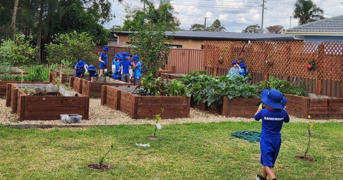 The Mirrung school wellbeing hub – meeting complex community needs to…