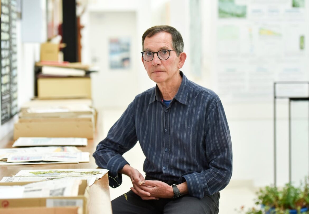 Daniel Gómez, botanist: ‘When we give flowers, we are giving sexual organs’ | Science EL PAÍS