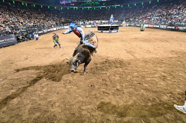 Anderson De Oliveira attempts to ride Mike Miller Bucking Bulls' Pneu-Dart's Chief Wahoo during the third round of the New York City Unleash The Beast PBR. (Photo by James Phifer / Bull Stock Media.)