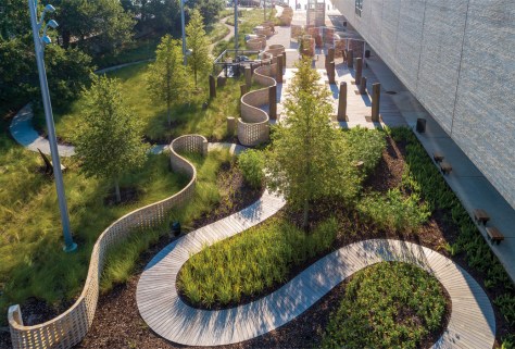 African Ancestors Garden