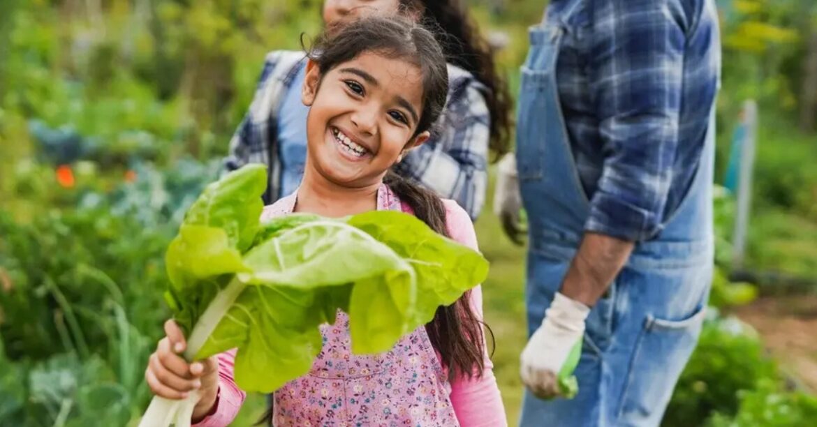 How To Grow Cucumbers at Home With Kids: A Simple Guide Kerala Gardener Shares Simple Steps To Grow Cucumbers at Home With Kids (Even in Small Spaces!)