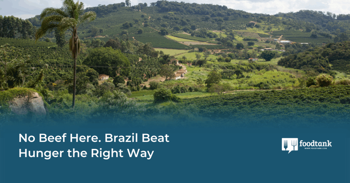 Ed | No Beef Here. Brazil Beat Hunger the Right Way – Food Tank