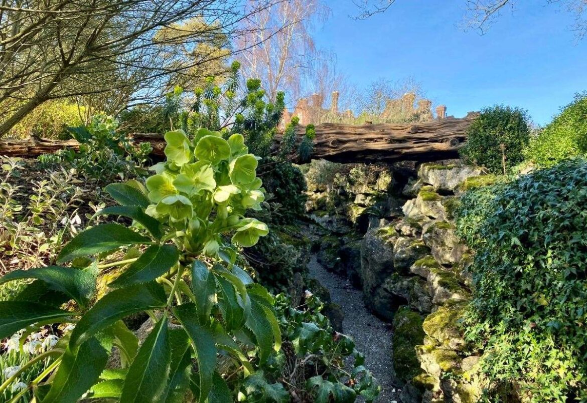 Kent’s National Garden Scheme open gardens to visit this September