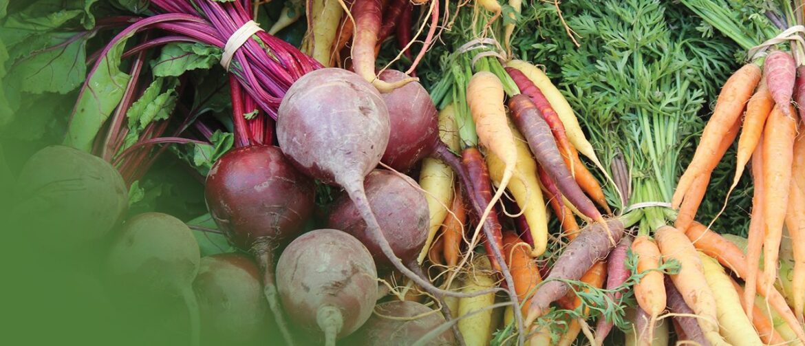 Gardening – A big year for bugs Gardening - Easy care winter colour