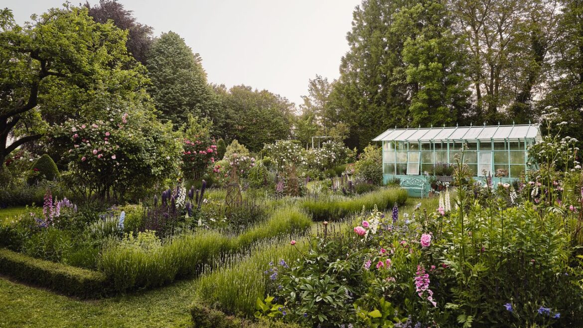 Cheap garden ideas: How to make your gardening budget go further