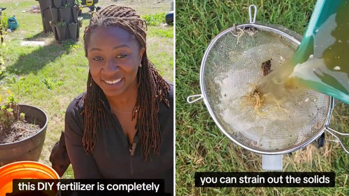 Gardening expert shares simple hack to save money on fertilizer: ‘This is so helpful’ "It works."