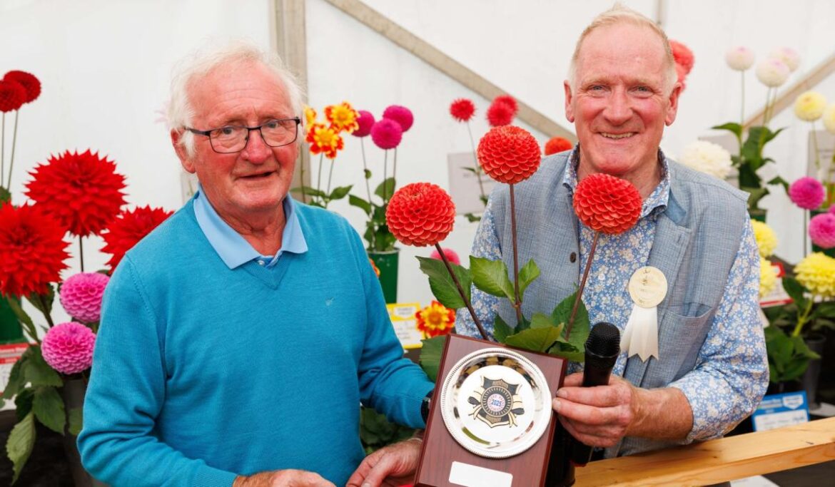 Top prize for Laois gardener at Tullamore Show Top prize for Laois gardener at Tullamore Show