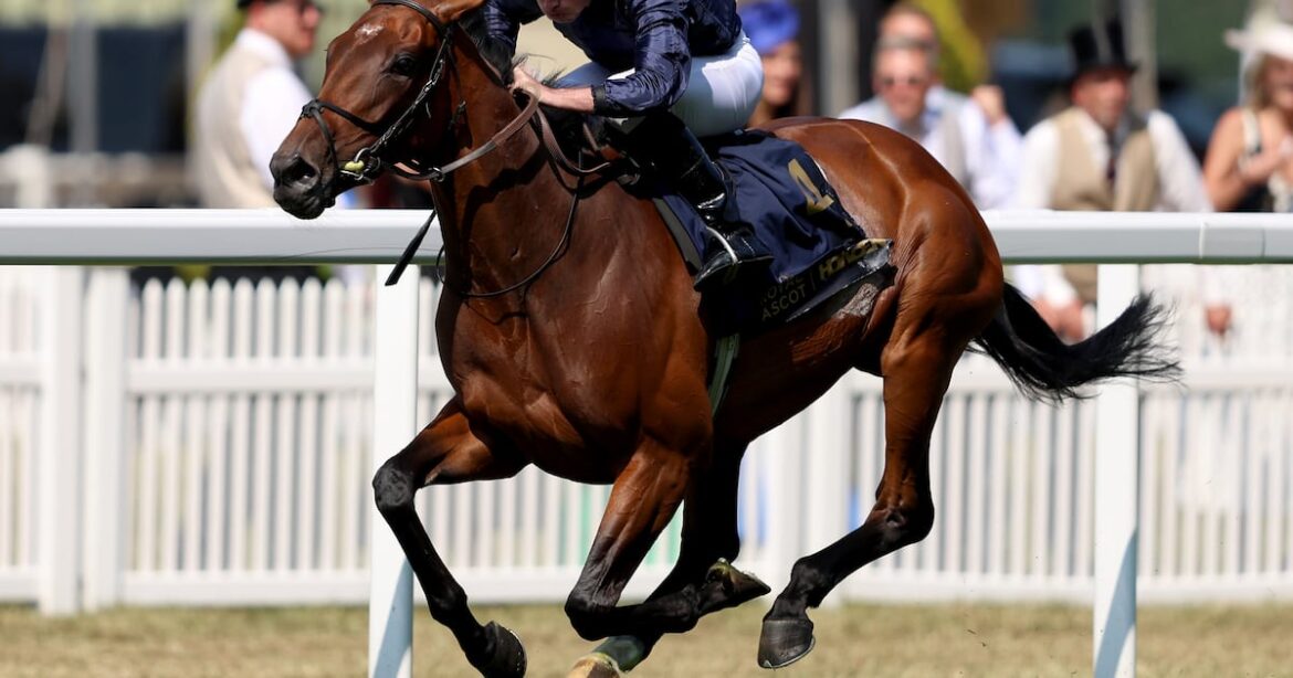 Aidan O’Brien hoping to break new classic ground with Garden Of Eden in German Oaks – The Irish Times